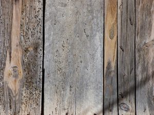 Disinfestazione tarli: i metodi infallibili con cui preservare il legno