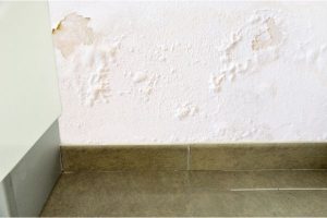 3 consigli per individuare perdite d'acqua nei muri